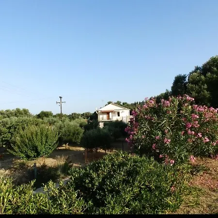 Enjoy The Silence Σβορωνάτα