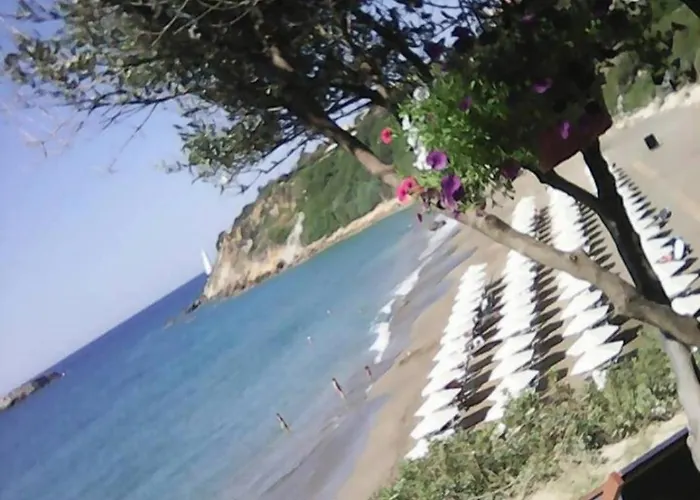 Enjoy The Silence * Svoronata