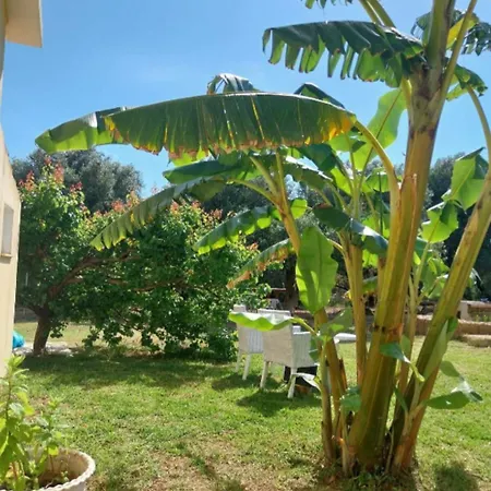 Enjoy The Silence Svoronata