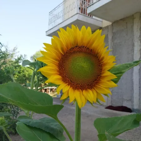 Enjoy The Silence Ferienhaus