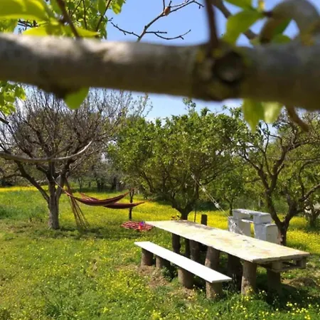 Enjoy The Silence בית נופש